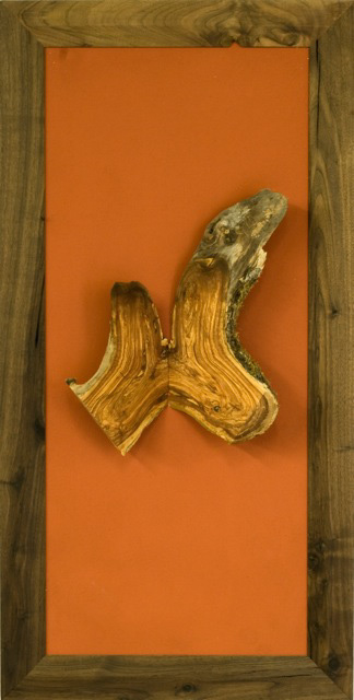 Natur_Schmetterling2